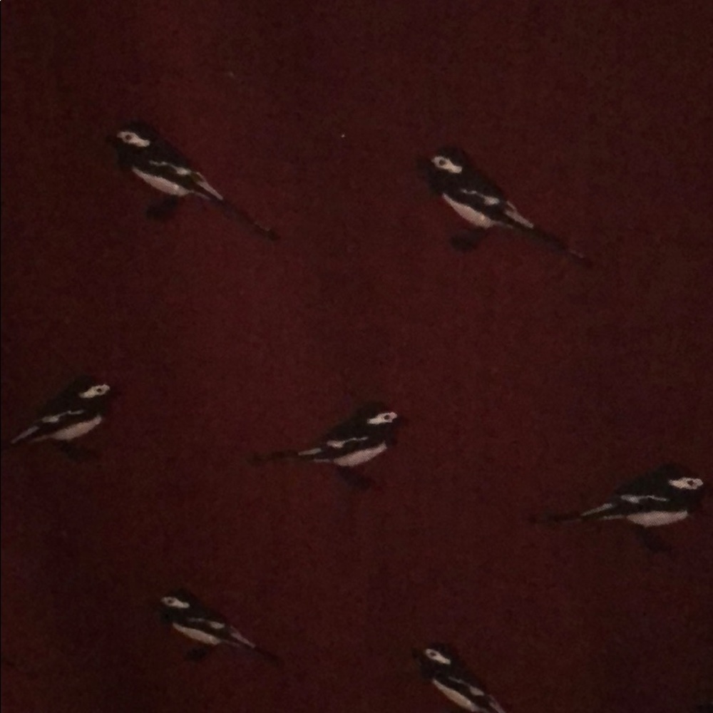 Birdie Button Down - Picture 3 of 5